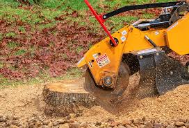 How Our Tree Care Process Works  in  Tustin, CA